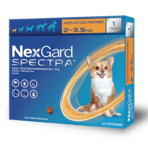 Nexgard Spectra XS 1 masticable
