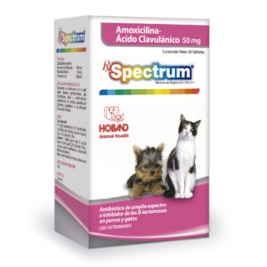 Spectrum Amoxicilina con Acido clavulanico 50 mg. 20 tabletas