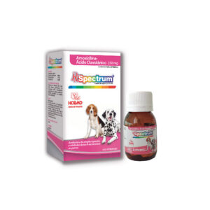 Spectrum Amoxicilina con Acido clavulanico 250 mg. 20 tabletas
