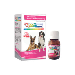 Spectrum Amoxicilina con Acido clavulanico 500 mg. 20 tabletas