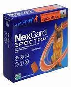 Nexgard Spectra XL 1 masticable